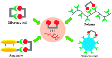 Graphical abstract: Selective sensing of saccharides using simple boronic acids and their aggregates