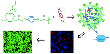 Graphical abstract: TACN-based oligomers with aromatic backbones for efficient nucleic acid delivery
