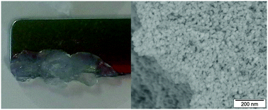 Graphical abstract: Stable amorphous calcium oxalate: synthesis and potential intermediate in biomineralization