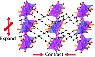 Graphical abstract: Cobalt adipate, Co(C6H8O4): antiferromagnetic structure, unusual thermal expansion and magnetoelastic coupling