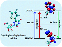Graphical abstract: Theoretical understanding of two-photon-induced fluorescence of isomorphic nucleoside analogs