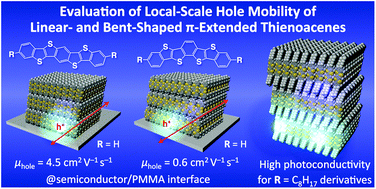 Graphical abstract: Evaluation of the intrinsic charge carrier transporting properties of linear- and bent-shaped π-extended benzo-fused thieno[3,2-b]thiophenes