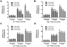 Graphical abstract: Differential effects of metal ions on TCDD-induced cytotoxicity and cytochrome P4501A1 gene expression in a zebrafish liver (ZFL) cell-line