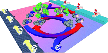 Graphical abstract: Metal-free electrocatalytic hydrogen oxidation using frustrated Lewis pairs and carbon-based Lewis acids