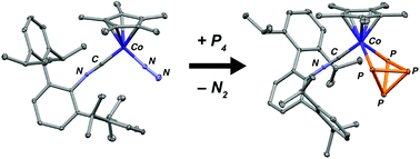 Graphical abstract: Dinitrogen binding, P4-activation and aza-Büchner ring expansions mediated by an isocyano analogue of the CpCo(CO) fragment