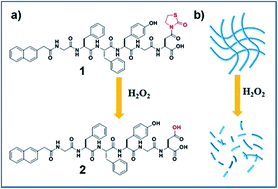 Graphical abstract: A novel H2O2 responsive supramolecular hydrogel for controllable drug release