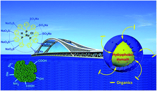 Graphical abstract: Growing a hydrophilic nanoporous shell on a hydrophobic catalyst interface for aqueous reactions with high reaction efficiency and in situ catalyst recycling