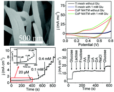 Graphical abstract: Cobalt phosphide nanowire array as an effective electrocatalyst for non-enzymatic glucose sensing