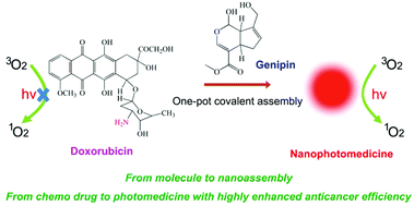 Graphical abstract: Covalent-reaction-induced interfacial assembly to transform doxorubicin into nanophotomedicine with highly enhanced anticancer efficiency