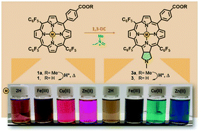 Graphical abstract: Synthesis and coordination studies of 5-(4′-carboxyphenyl)-10,15,20-tris(pentafluorophenyl)porphyrin and its pyrrolidine-fused chlorin derivative