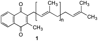 Graphical abstract: Menaquinone biosynthesis inhibition: a review of advancements toward a new antibiotic mechanism