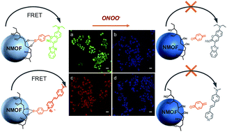 Graphical abstract: Nanoscale metal–organic frameworks coated with poly(vinyl alcohol) for ratiometric peroxynitrite sensing through FRET