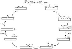 Graphical abstract: The integration of experiment and computational modelling in heterogeneously catalysed ammonia synthesis over metal nitrides