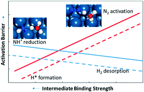 Graphical abstract: Elementary kinetics of nitrogen electroreduction to ammonia on late transition metals