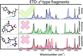 Graphical abstract: Investigation of the position of the radical in z3-ions resulting from electron transfer dissociation using infrared ion spectroscopy