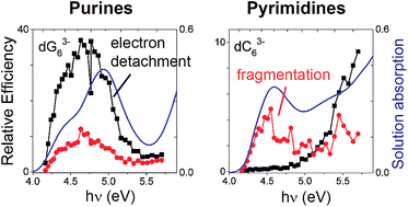 Graphical abstract: Electronic spectroscopy of isolated DNA polyanions