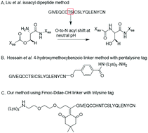 Graphical abstract: Synthesis of hydrophobic insulin-based peptides using a helping hand strategy