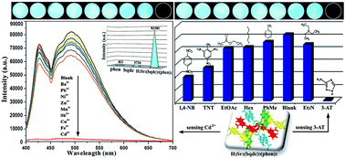 Graphical abstract: Recognition of trace organic pollutant and toxic metal ions via a tailored fluorescent metal–organic coordination polymer in water environment