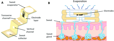 Graphical abstract: Three-dimensional paper-based microfluidic electrochemical integrated devices (3D-PMED) for wearable electrochemical glucose detection