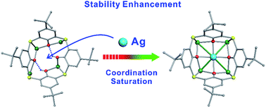 Graphical abstract: The stability enhancement factor beyond eight-electron shell closure in thiacalix[4]arene-protected silver clusters