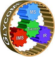 Graphical abstract: In-depth structural analysis of glycans in the gas phase