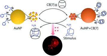 Graphical abstract: Reversible encapsulations and stimuli-responsive biological delivery from a dynamically assembled cucurbit[7]uril host and nanoparticle guest scaffold