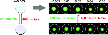 Graphical abstract: Reversible up-conversion luminescence modulation based on UV-VIS light-controlled photochromism in Er3+ doped Sr2SnO4