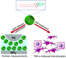 Graphical abstract: Glucosamine sulphate-loaded distearoyl phosphocholine liposomes for osteoarthritis treatment: combination of sustained drug release and improved lubrication