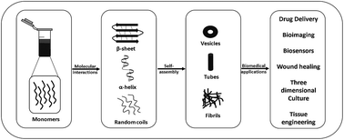 Graphical abstract: Short to ultrashort peptide-based hydrogels as a platform for biomedical applications