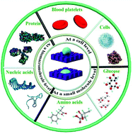 Graphical abstract: Bioinspired surfaces with wettability: biomolecule adhesion behaviors