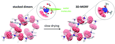 Graphical abstract: A single-crystal-to-single-crystal transformation affording photochromic 3D MORF crystals