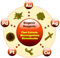 Graphical abstract: Toward greener methods of producing branched metal nanostructures