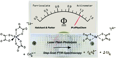 Graphical abstract: Time-resolved Fourier-transform infrared spectroscopy reveals the hidden bimolecular process of the ferrioxalate actinometer