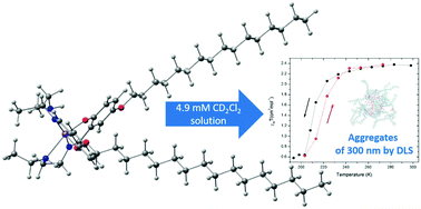 Graphical abstract: Directing self-assembly in solution towards improved cooperativity in Fe(iii) complexes with amphiphilic tridentate ligands