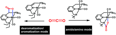 Graphical abstract: CO2 activation by manganese pincer complexes through different modes of metal–ligand cooperation