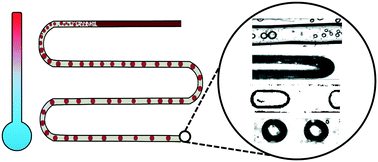 Graphical abstract: Microfluidics of binary liquid mixtures with temperature-dependent miscibility