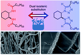 Graphical abstract: Expanding the limits of amide–triazole isosteric substitution in bisamide-based physical gels