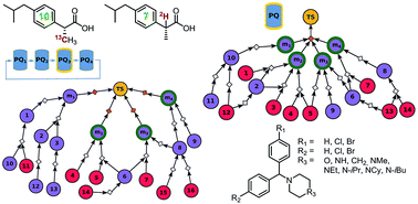 Graphical abstract: Computational design of syntheses leading to compound libraries or isotopically labelled targets