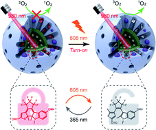 Graphical abstract: A photochromic upconversion nanoarchitecture: towards activatable bioimaging and dual NIR light-programmed singlet oxygen generation