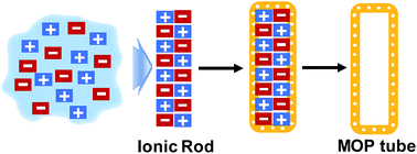 Graphical abstract: Noncovalent and covalent double assembly: unravelling a unified mechanism for the tubular shape evolution of microporous organic polymers