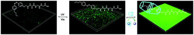 Graphical abstract: Switchable modulation of bacterial growth and biofilm formation based on supramolecular tripeptide amphiphiles