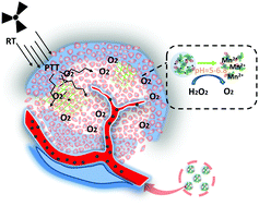 Graphical abstract: Intelligent protein-coated bismuth sulfide and manganese oxide nanocomposites obtained by biomineralization for multimodal imaging-guided enhanced tumor therapy