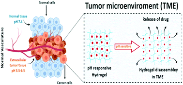 Graphical abstract: Cancer nanomedicine: focus on recent developments and self-assembled peptide nanocarriers