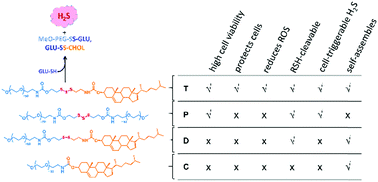 Graphical abstract: H2S-Donating trisulfide linkers confer unexpected biological behaviour to poly(ethylene glycol)–cholesteryl conjugates