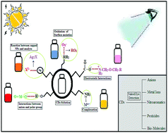 Graphical abstract: Carbon dots as naked eye sensors