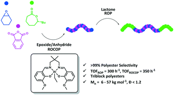 Graphical abstract: Ortho-vanillin derived Al(iii) and Co(iii) catalyst systems for switchable catalysis using ε-decalactone, phthalic anhydride and cyclohexene oxide