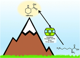 Graphical abstract: Cell-free biocatalytic syntheses of l-pipecolic acid: a dual strategy approach and process intensification in flow