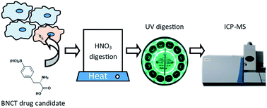 Graphical abstract: Quantification of boron in cells for evaluation of drug agents used in boron neutron capture therapy