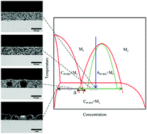 Graphical abstract: Bridging the thermodynamics and kinetics of temperature-induced morphology evolution in polymer/fullerene organic solar cell bulk heterojunction