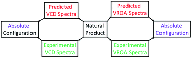 Graphical abstract: Vibrational optical activity for structural characterization of natural products